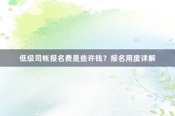 低级司帐报名费是些许钱？报名用度详解
